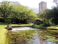 20120602 Ninfa 018 : Ninfa