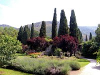 20120602 Ninfa 080 : Ninfa