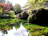 20120602 Ninfa 101 : Ninfa