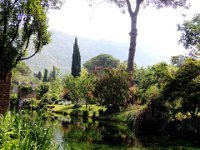 20120602 Ninfa 107 : Ninfa