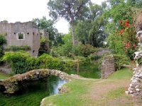 20120602 Ninfa 115 : Ninfa