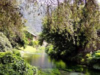 20120602 Ninfa 121 : Ninfa