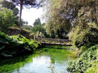 20120602 Ninfa 125 : Ninfa