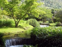 20120602 Ninfa m 07 : Ninfa