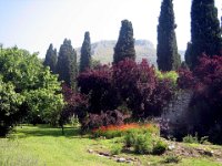 20120602 Ninfa m 23 : Ninfa