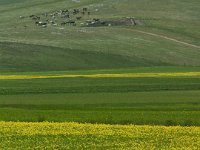 20070522 139  The plain near Castellucio in late spring