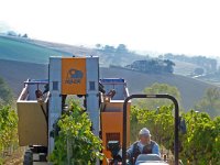 20080930 PJ 254  The grape picking machine which Carlo used to pick his grapes which made us redundant.........almost