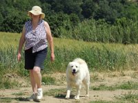 20120606 Pignotto 18  M and fearsome Jackie out for a walk.