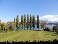 20131019 Pignotto 092  View from the music room over the lake : Luzern/Triebschen, 