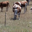 20220720 35  Campo della Mt Scindarella